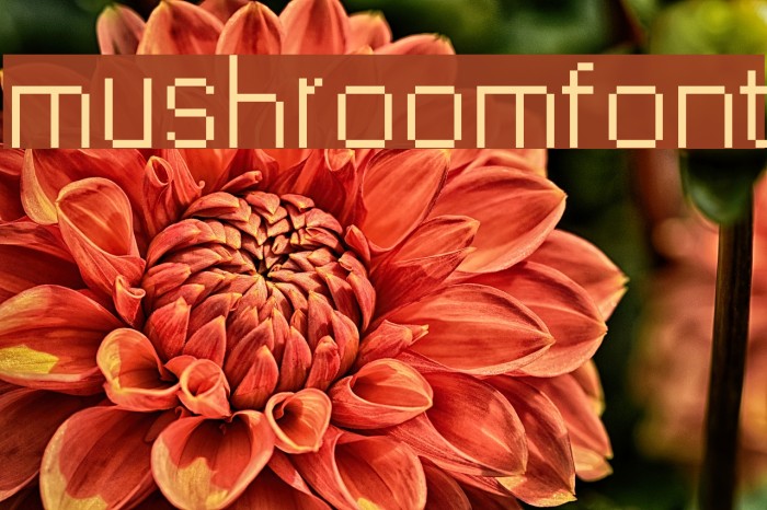 mushroomfont Font examples