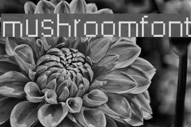 mushroomfont Example 3