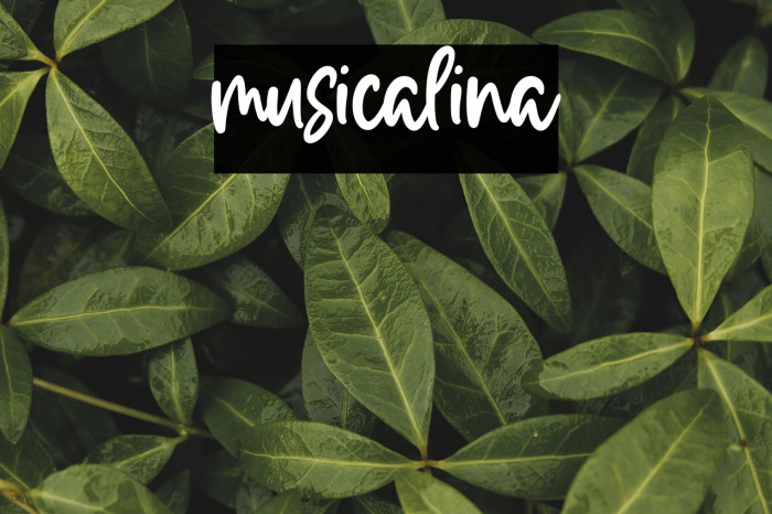 musicalina Example 1