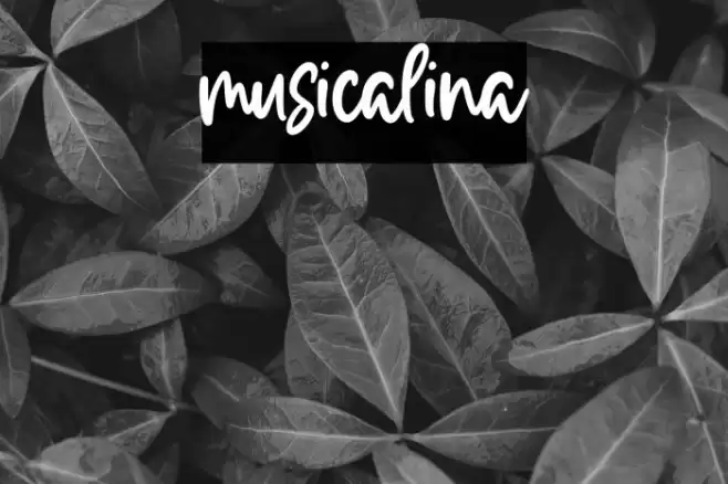 musicalina Font examples