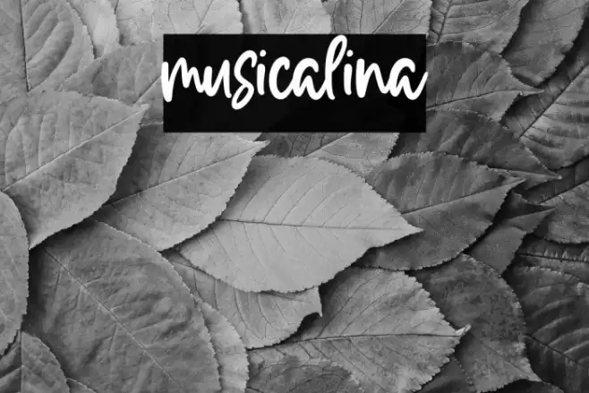musicalina Font examples