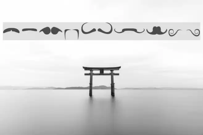 mustache Font examples