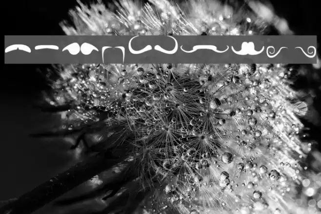 mustache Font examples