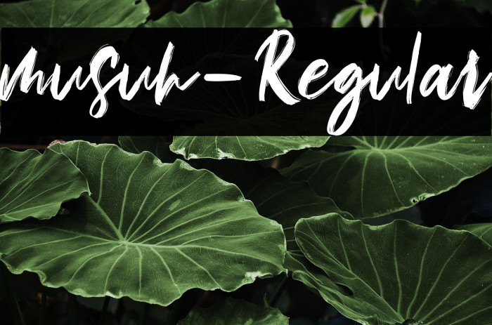 musuh-Regular Example 2