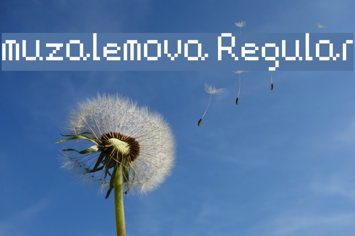 muzalemova Regular Example 1