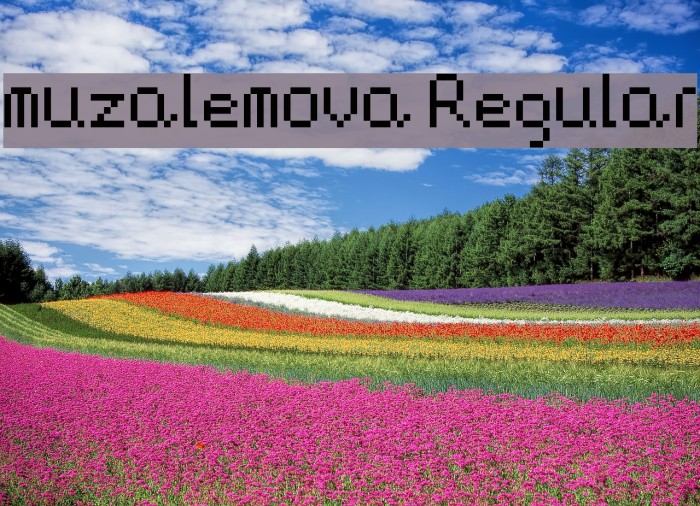 muzalemova Regular Example 2