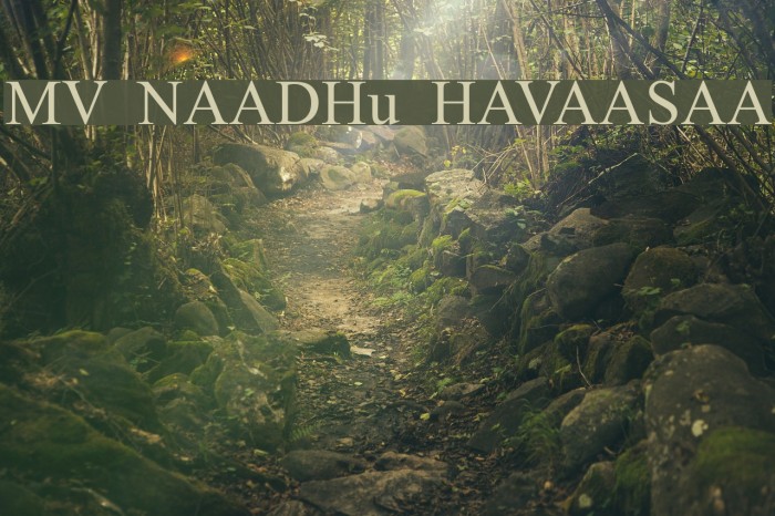 MV NAADHu HAVAASAA Font examples