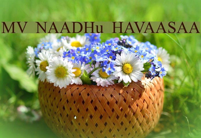 MV NAADHu HAVAASAA Font examples