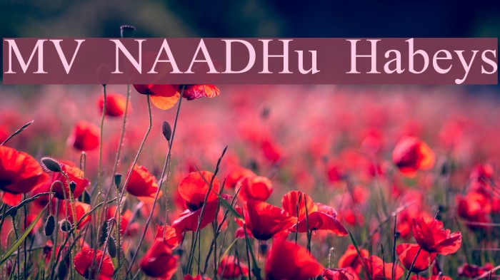 MV NAADHu Habeys Font examples