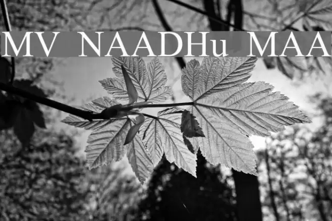 MV NAADHu MAA Font examples
