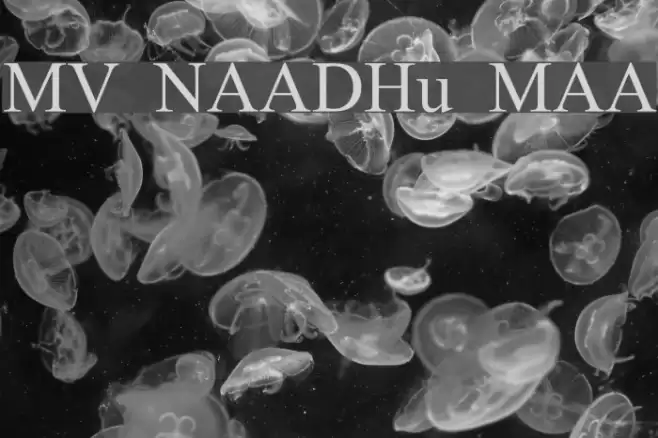 MV NAADHu MAA Font examples