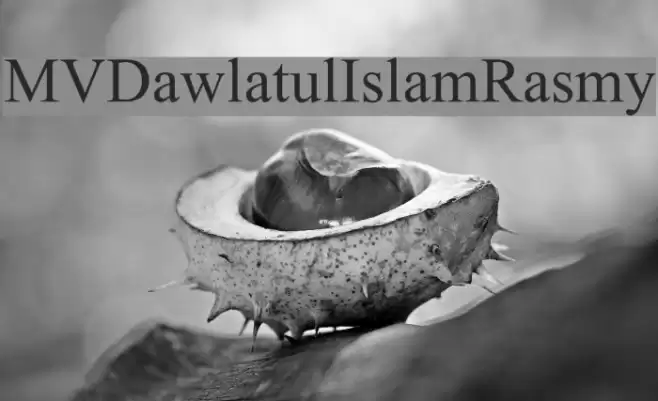 MVDawlatulIslamRasmy Font examples