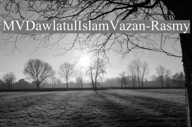 MVDawlatulIslamVazan-Rasmy Font examples