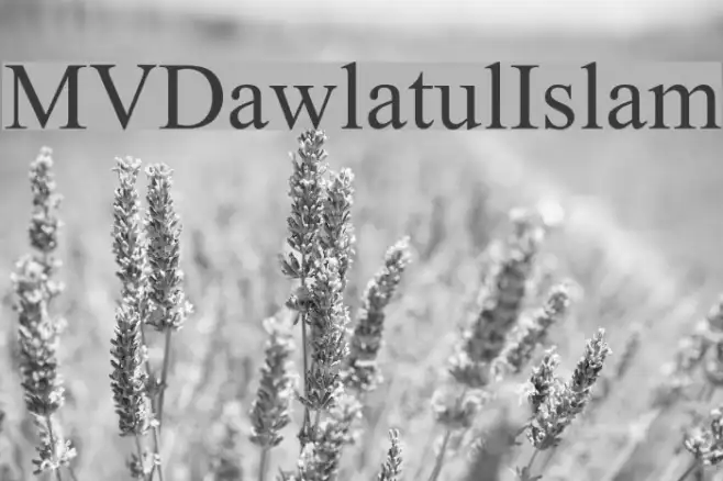 MVDawlatulIslam Example 2