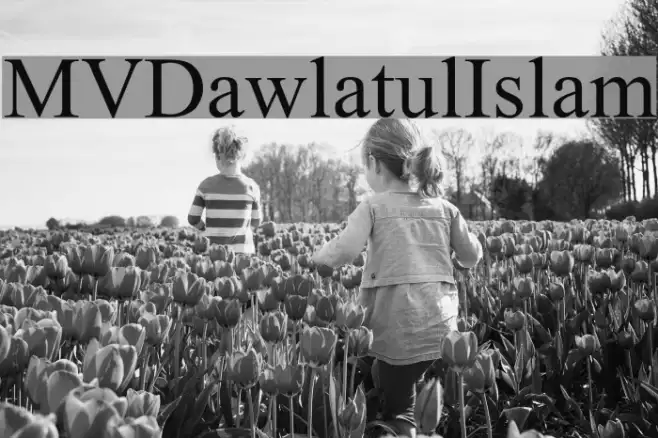 MVDawlatulIslam Example 3