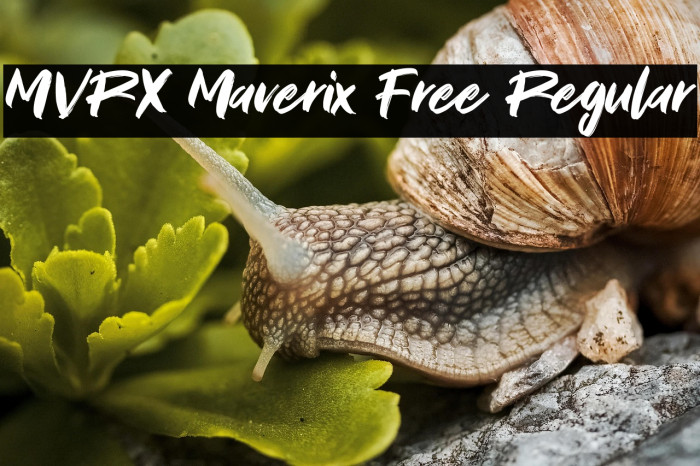 MVRX Maverix Free Regular Example 3