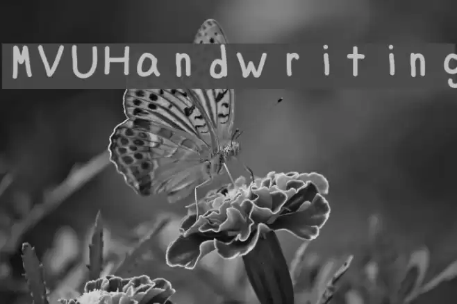 MVUHandwriting Font examples