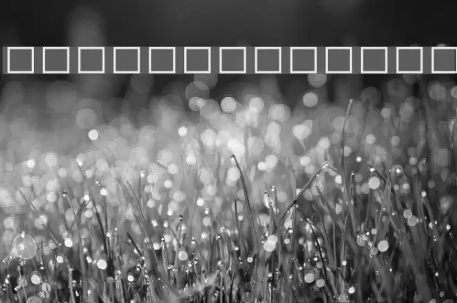 Mv GroupX Avas Akuru Font examples