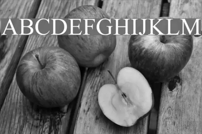 Mv Jadheedh Font examples