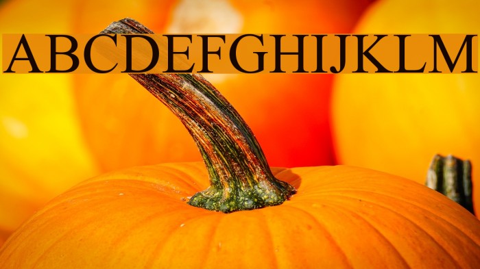 Mv Jadheedh Font examples