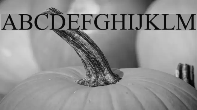 Mv Jadheedh Font examples