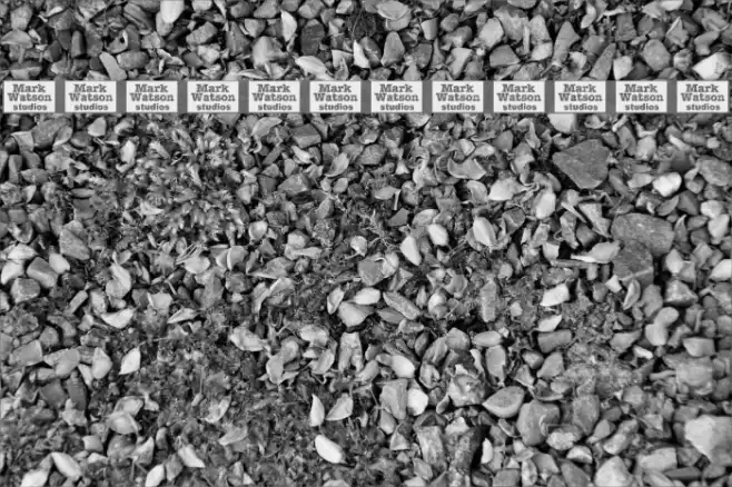 MW-Ding-A-Lings Font examples