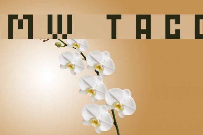 MW TACO Font examples