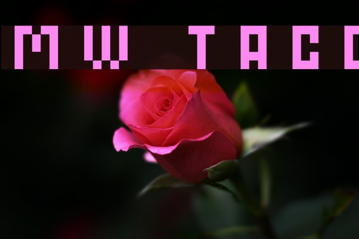 MW TACO Font examples