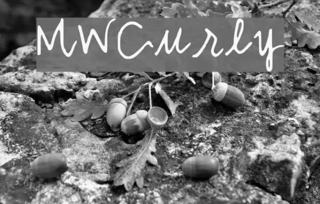 MWCurly Font examples