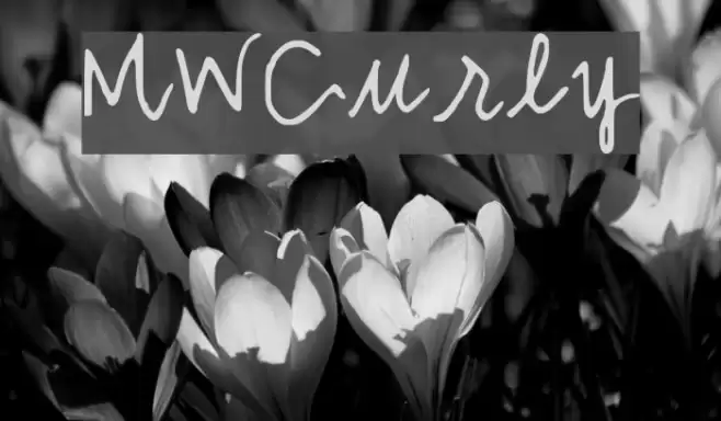 MWCurly Font examples