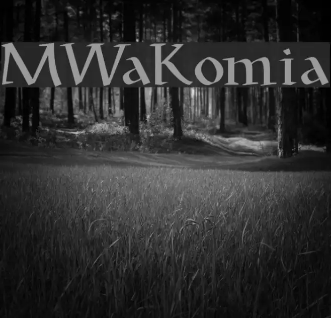 MWaKomia Example 2