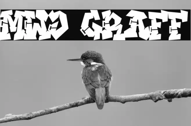 Mwd Graff Font examples