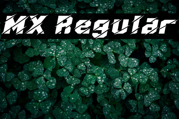 MX Regular Example 2