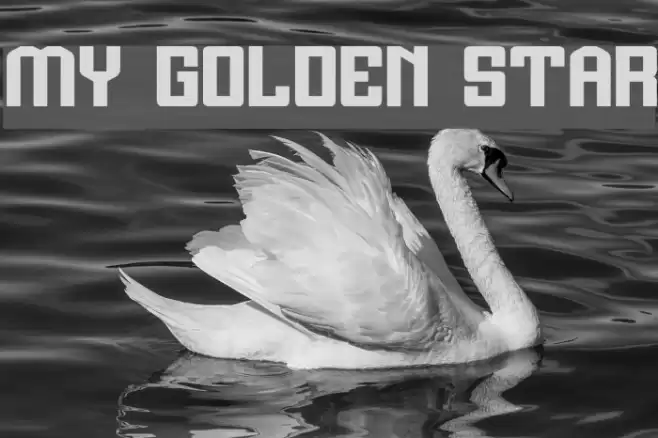 MY GOLDEN STAR Font examples