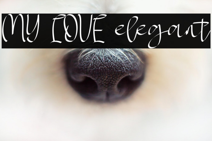 MY LOVE elegant Example 2