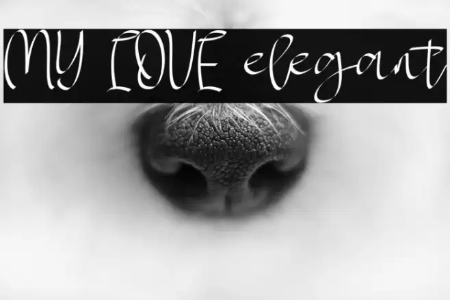 MY LOVE elegant Font examples