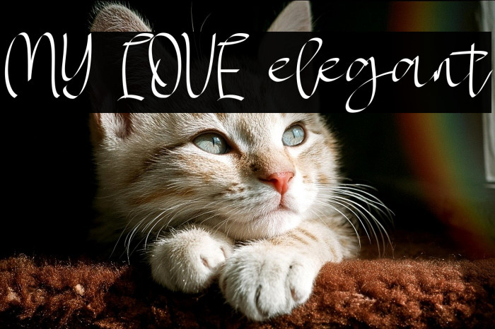 MY LOVE elegant Example 3