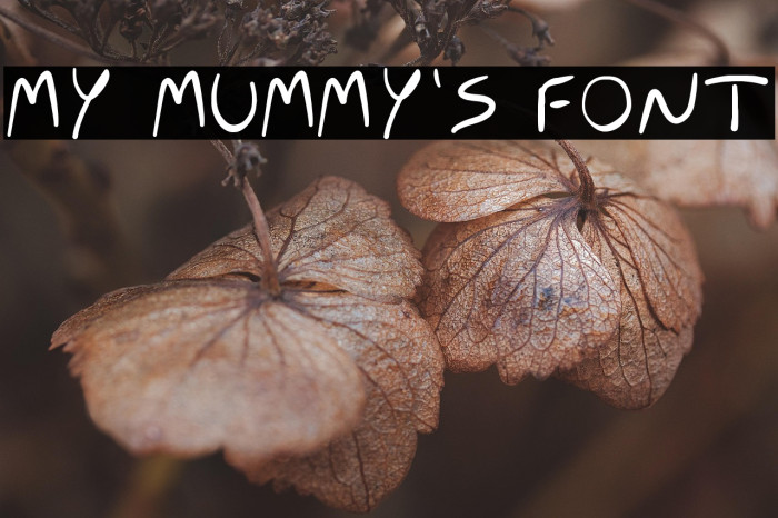 MY MUMMY'S FONT Example 1