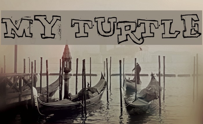 MY TURTLE Font examples