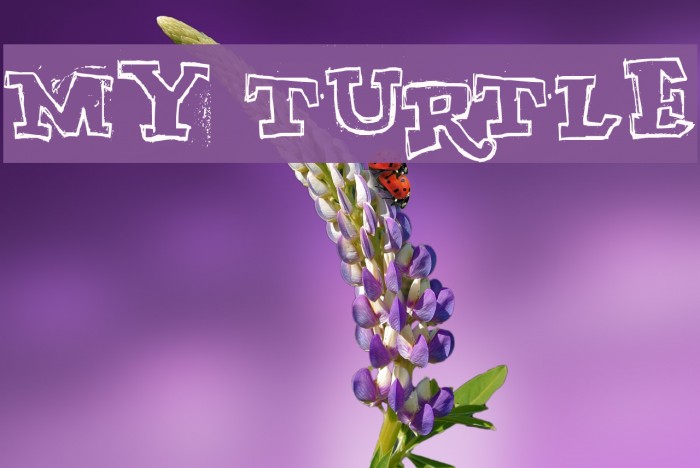 MY TURTLE Font examples