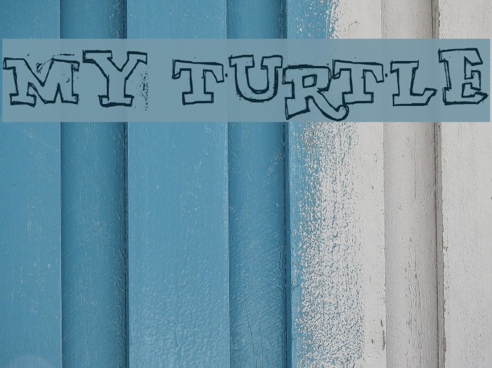 MY TURTLE Font examples