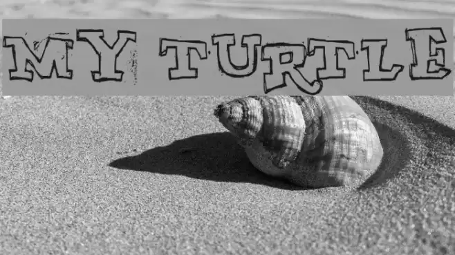 MY TURTLE Font examples
