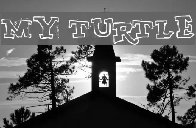 MY TURTLE Font examples