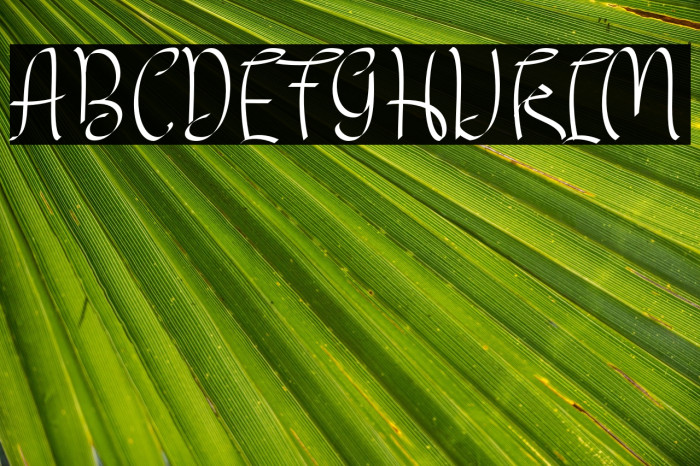 MYLOVEelegant Example 2