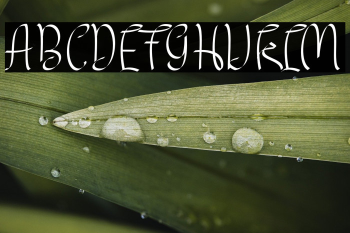 MYLOVEelegant Example 3