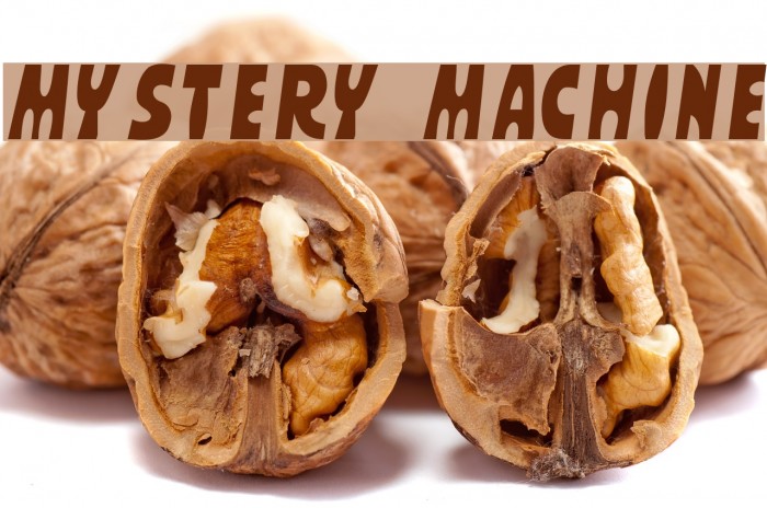 MYSTERY MACHINE Example 3