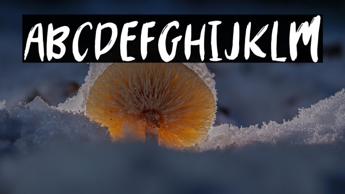 MYSTERY2019-Regular Example 1