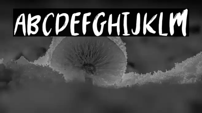 MYSTERY2019-Regular Fuentes examples