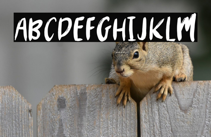 MYSTERY2019-Regular Example 1