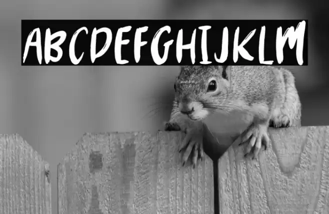 MYSTERY2019-Regular Font examples